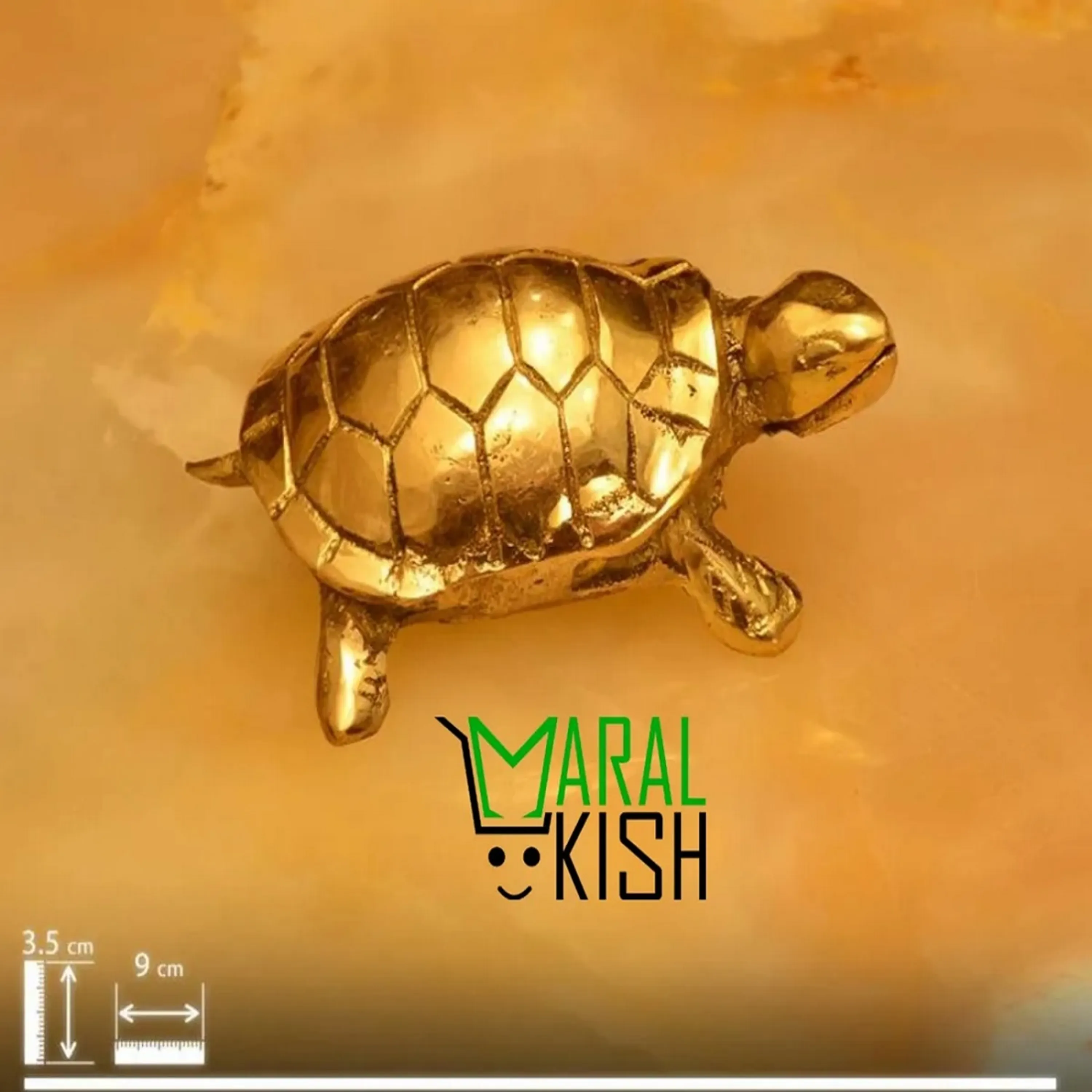 بچه لاک پشت برنجی بچه لاک پشت برنجی